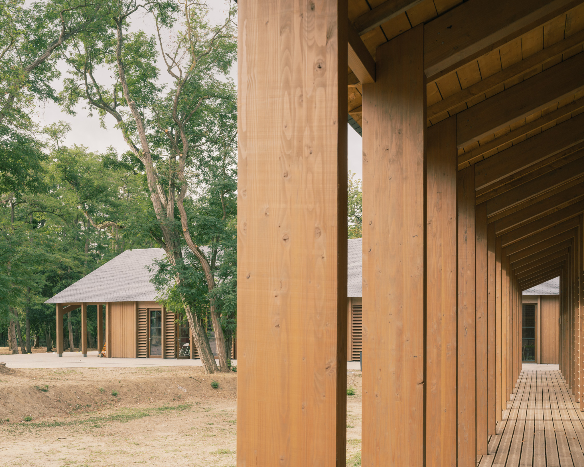 Reportage photographique du futur Centre de loisirs ALSH du Bois de Cergy, à Cergy (Val-d’Oise), conçu par PLURIEL[LES] ARCHITECTES pour la Ville de Cergy. Implanté sur une parcelle largement arborée située dans un Espace Boisé Classé, le projet accueille jusqu’à 200 enfants de 3 à 11 ans et développe une architecture en relation étroite avec son environnement naturel. Le bâtiment privilégie une construction bois et paille, avec bardage bois, charpente apparente, couverture en ardoise et toiture-terrasse végétalisée. Le projet intègre également des principes d’architecture bioclimatique et de production d’énergies renouvelables.